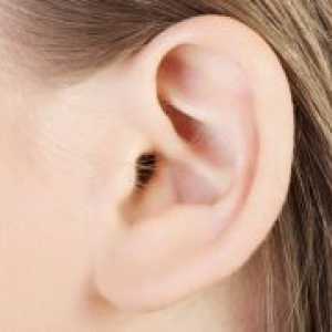 Гъбата в ушите - третиране