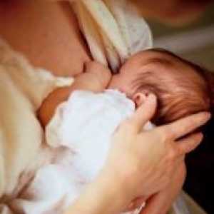 Кърмене на новородено