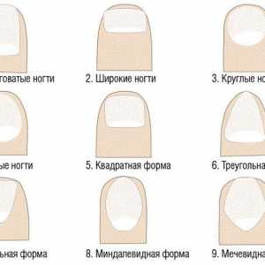 Естеството на формата на ноктите