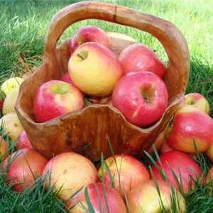 Съхранение на ябълки в дома