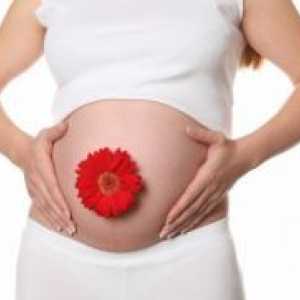 Имуноглобулин по време на бременност