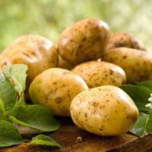 Защо мечтая за картофи?