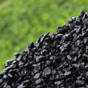 Защо мечтая за въглища?