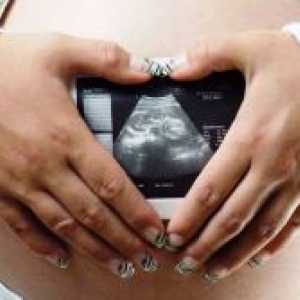 Колко често може да направи ултразвук по време на бременност?