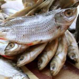 Как да съхранявате сушена риба у дома?