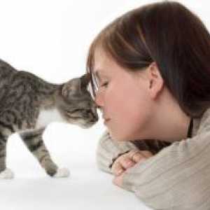 Как да се отървете от алергия към котки?