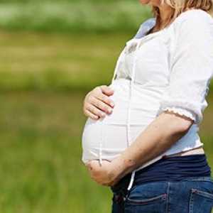 Как ендометриума по време на бременност