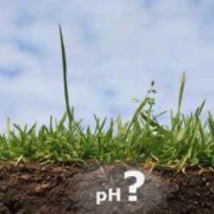 Как да се определи на киселинността на почвата?