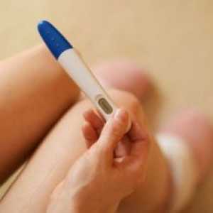 Как да се използва тест за бременност?
