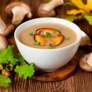 Как да се готви супа от сушени гъби?
