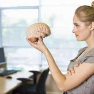 Как да тренирате мозъка?