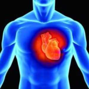 Как да се укрепи сърцето и кръвоносните съдове?