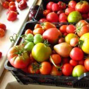 Как да се ускори зреенето на зелени домати, изтръгната?