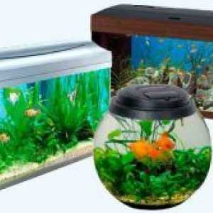 Как да изберем един аквариум?