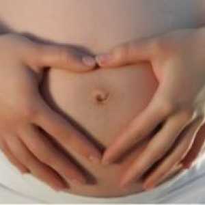 Как да изберем превръзка за бременни жени?