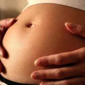 Как да получите бременна с близнаци?