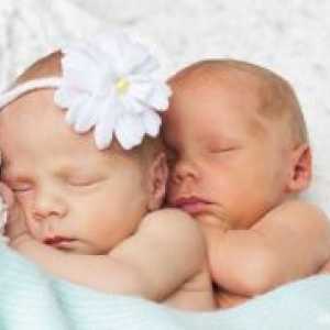 Как да зачене близнаци или близнаци?