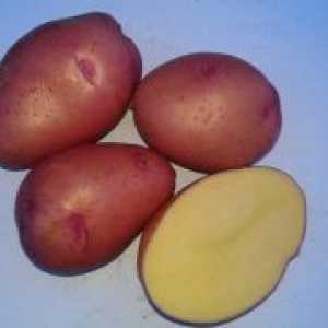 Картофи "Росарио" - описание на сорта