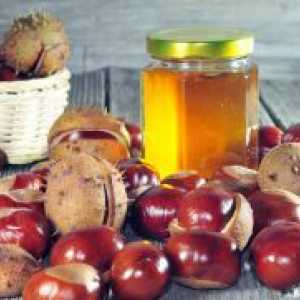 Кестенов мед - полезни свойства и противопоказания