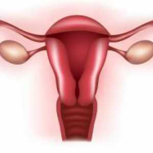 Класификация на гениталното осакатяване на жени