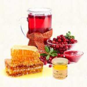 Cranberry с мед - полезни свойства и противопоказания