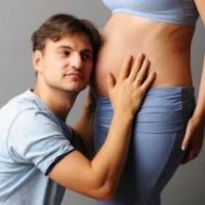 Когато детето започне да се движи в една бременност?