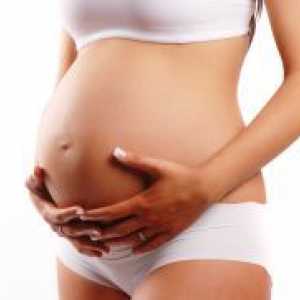 Когато детето започне да се движи в две бременност?