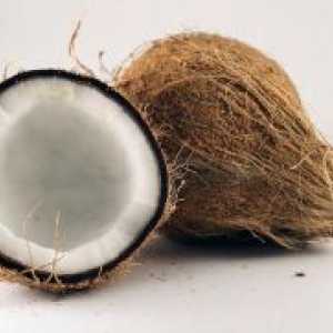 Coconut - полезни свойства