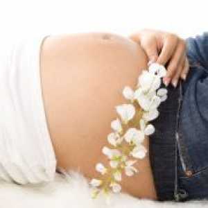 Coleitis по време на бременност - Лечение