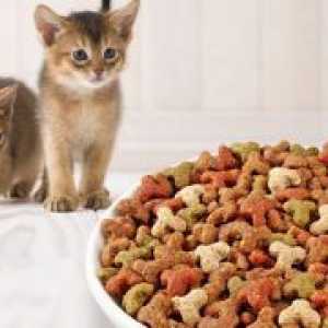 Суха храна за котенца