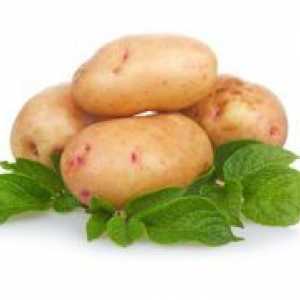 Хемороиди картофено третиране