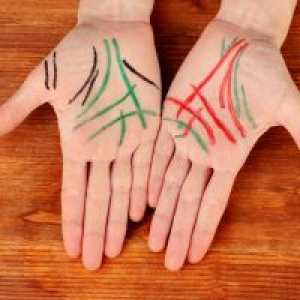 Линиите на дланите - стойността на лявата ръка