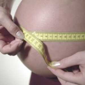 Малката стомаха по време на бременност
