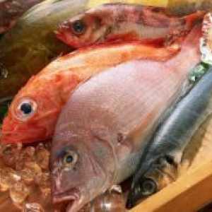 Мазните риби - ползи и вреди
