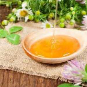 Мед треви - полезни свойства