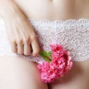 Menstruatsionny цикъл след раждането