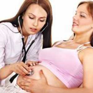 Мека шийката на матката по време на бременност