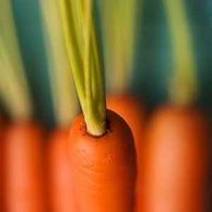Морков диета