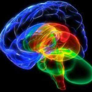 Brain и Съзнание