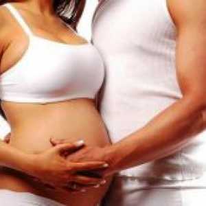 Възможно ли е да се спре по време на бременност?