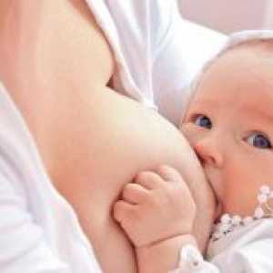Възможно ли е да се забременее по време на кърмене?