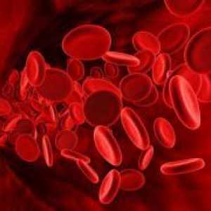 Норма тромбоцити в кръвта на жените