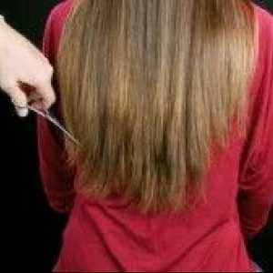 Особености на използването и прилагането на рязане на косата изтъняване ножици