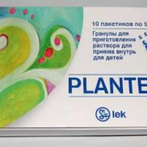 Plantex бебе