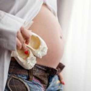 Fetus 18 седмици на бременността