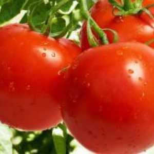 Торене мая домати