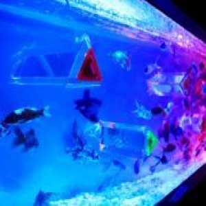 Светлини за аквариум