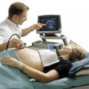 Индикатори ултразвук 32 седмици бременни