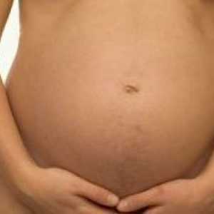 Labia по време на бременност