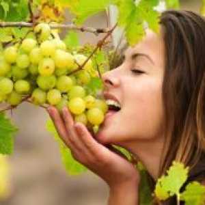 Ползите от грозде